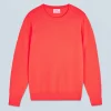 FROM FUTURE Maglione Scollo tondo Basic UtopicCoral Discount